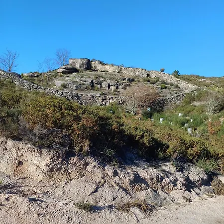 Oficina Do Joe , Gitte Outeiro (Tras-Os-Montes)