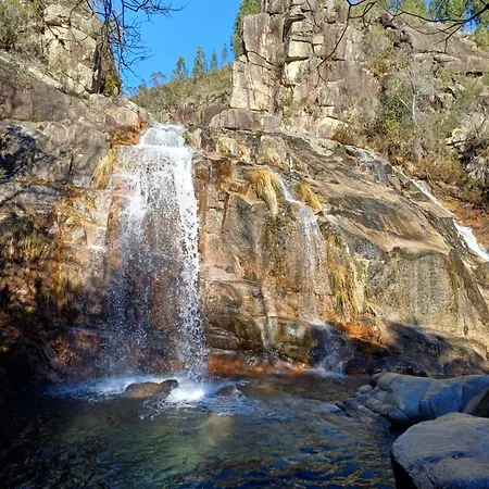 Oficina Do Joe , Gitte *