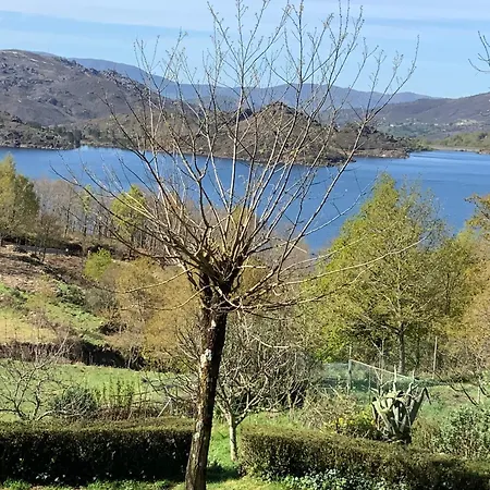 Oficina Do Joe , Gitte *