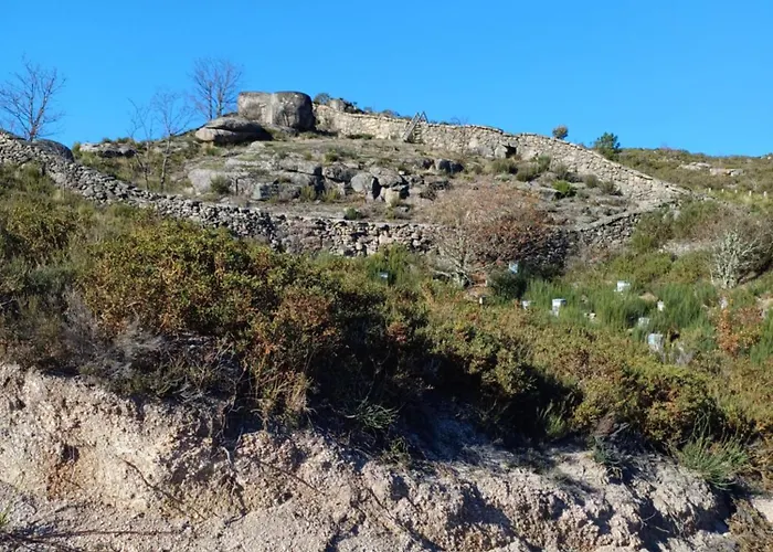 Oficina Do Joe , Gitte Outeiro (Tras-Os-Montes)