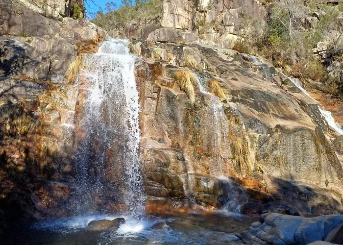 Oficina Do Joe , Gitte *